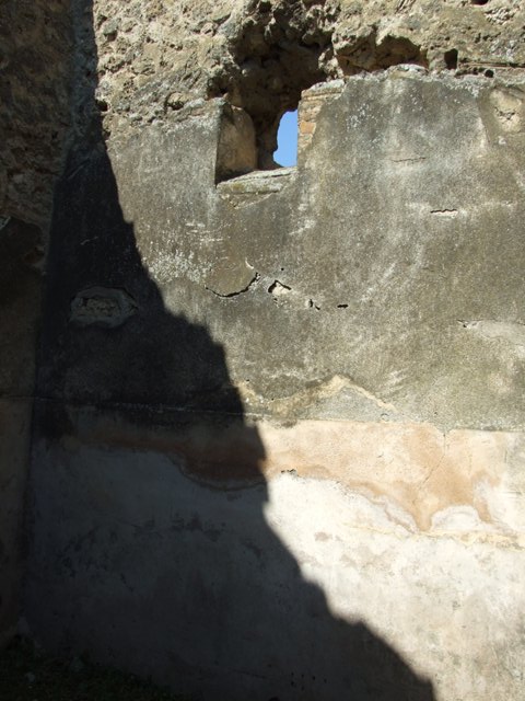 VII.3.29 Pompeii. March 2009. Room 6. Tablinum. Looking north.