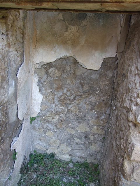 VII.3.29 Pompeii. March 2009. Room 8. West wall, north end of stairs.