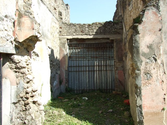 VII.3.29 Pompeii. March 2009. Room 11, south wall of room next to tablinum.  