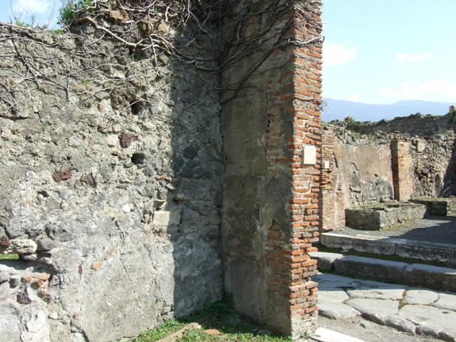 VII.4.29 Pompeii. March 2009.Room on west side of small courtyard or garden. The remains of the pink plaster may be the west wall of the courtyard garden. See Jashemski, W. F., 1993. The Gardens of Pompeii, Volume II: Appendices. New York: Caratzas. (p.178-9). See Pappalardo, U., 2001. La Descrizione di Pompei per Giuseppe Fiorelli (1875). Napoli: Massa Editore. (p.90).