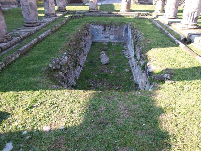 VII.4.31 Pompeii.  March 2009.  Fish pool in the centre of the Middle Peristyle.  Looking north.