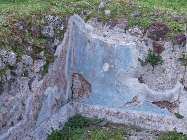 VII.4.31 Pompeii.  March 2009.  Middle Peristyle.  Remains of blue walls in the fish pool.