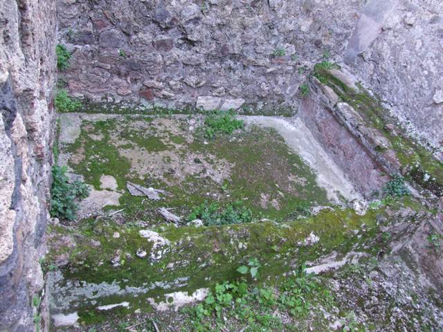 VII.4.31 Pompeii. March 2009. Room 33. West wall.