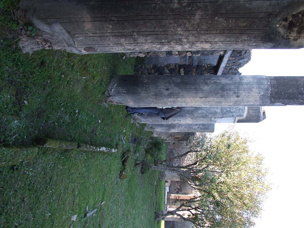 VII.4.31 Pompeii.  March 2009.  Room 35.  East wall.