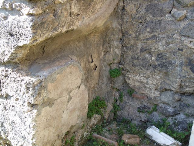 VII.4.31 Pompeii. March 2009. Room 10. Tablinum. Looking north into middle Peristyle.