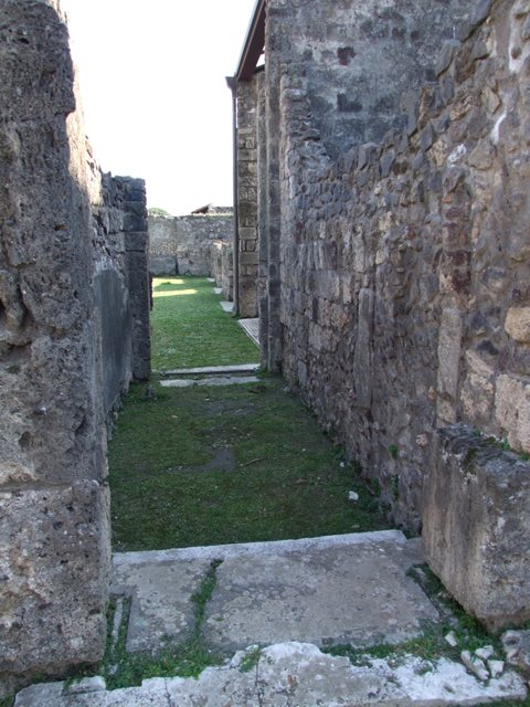 VII.4.31 Pompeii. March 2009. Room 12. Oecus. West wall.