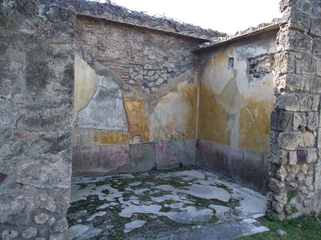 VII.4.31 Pompeii. March 2009. Room 12. Oecus. Lower West wall.