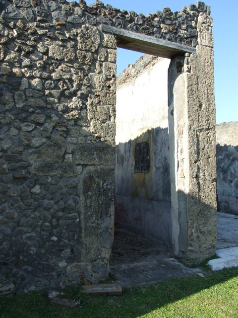 VII.4.31 Pompeii. March 2009. Room 21, remains of painted wall decoration on north wall of triclinium.