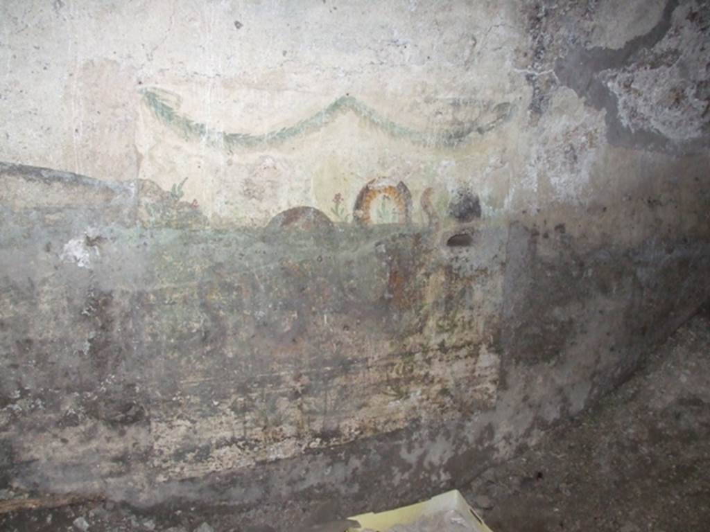 VII.4.31/51 Pompeii. March 2009. Room 27, east wall of cellar. Lararium painting, small niche, garland and serpent.
According to Fröhlich this had a few defects, moderately faded in places, very dirty in the lower part. 
There was a white painted wall surface with sacrificial plate. 
A big snake moves slightly ascending to the right. 
In the oblong hole under the head of the serpent destroyed today, a wooden sacrificial plate was certainly attached. 
The picture background is filled with small perennial plants and oleander-like shrubs, both with red flowers. 
At the upper edge two garlands are painted, over whose three attachment points in each case remnants of nails stuck in the wall, which apparently served for the attachment of real garlands.
See Fröhlich, T., 1991. Lararien und Fassadenbilder in den Vesuvstädten. Mainz: von Zabern, L86, p. 287.
See Boyce G. K., 1937. Corpus of the Lararia of Pompeii. Rome: MAAR 14, p. 66.
