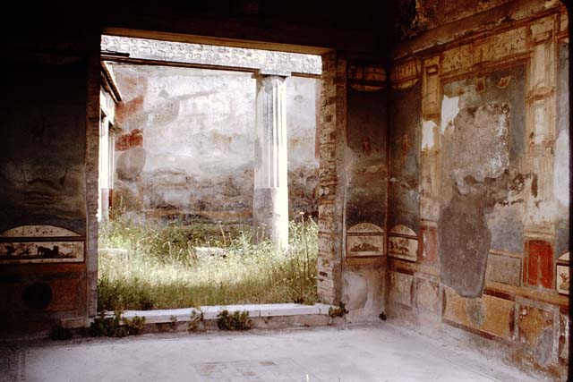 VII.4.48 Pompeii. December 2007. Room 11. Tablinum. West wall.