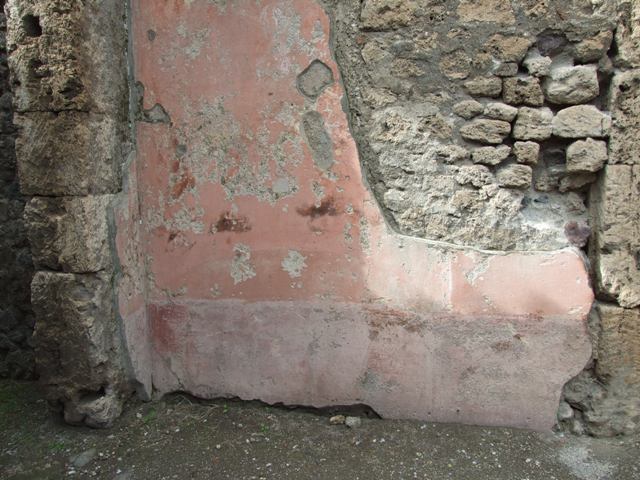 VII.4.48 Pompeii. December 2007. Room 17, stucco on south wall.