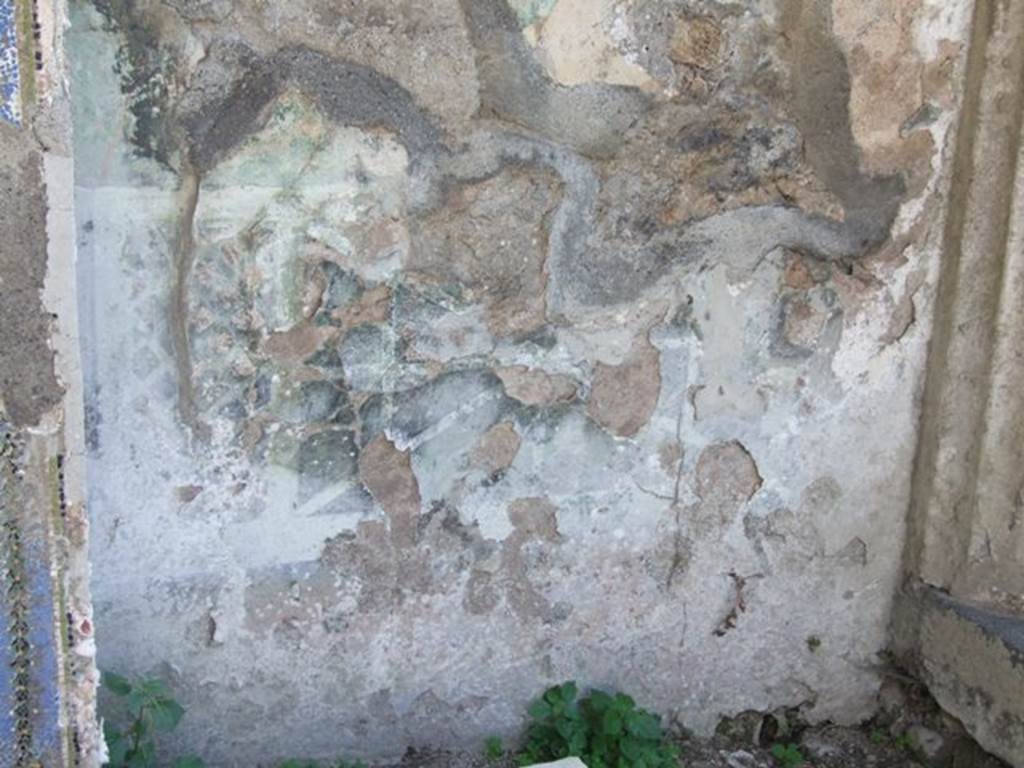 VII.4.56 Pompeii.  March 2009. Remains of Garden painting on South wall of Garden area, west of Fountain.