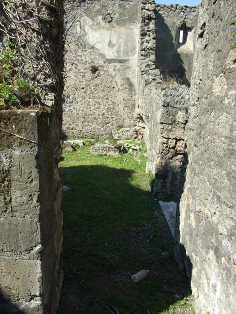 VII.4.57. Pompeii. March 2009. Room 14. Oecus. North wall.