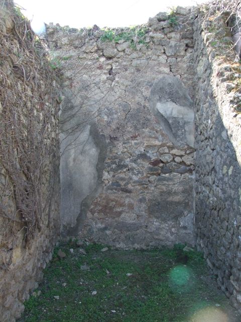 VII.4.57. Pompeii. March 2009. Room 14. Oecus. East wall with small door from Corridor.