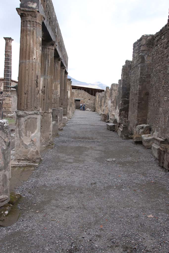 VII.7.32 Pompeii. October 2020. Looking north along east portico. Photo courtesy of Klaus Heese.
