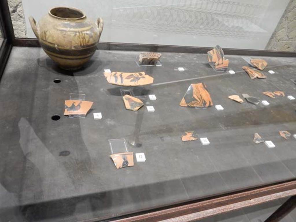 VII.7.32 Pompeii. May 2018. Ceramic finds on display. Photo courtesy of Buzz Ferebee.