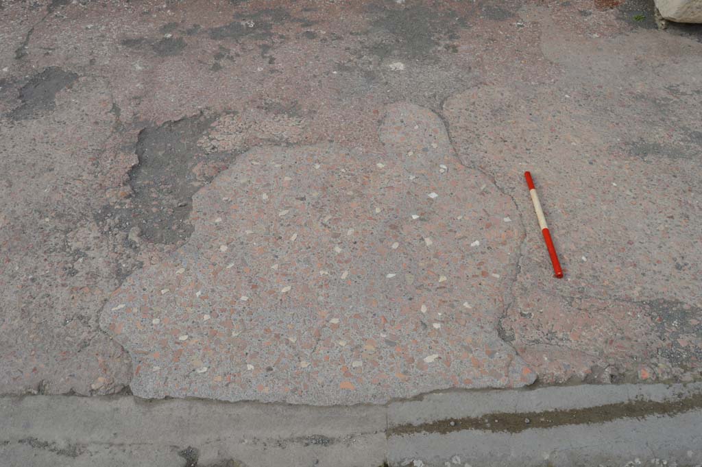 VII.7.32 Pompeii. March 2019. Detail of pavement on east side of entrance doorway. 
Foto Taylor Lauritsen, ERC Grant 681269 DÉCOR.
