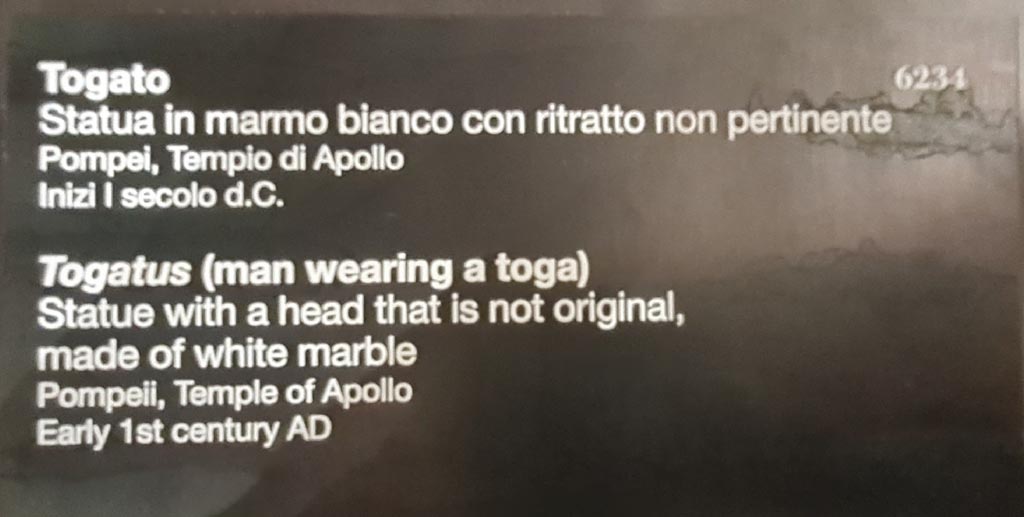 VII.7.32 Pompeii. April 2023. Descriptive information card statue of man wearing a toga, inv. 6234. Photo courtesy of Giuseppe Ciaramella.