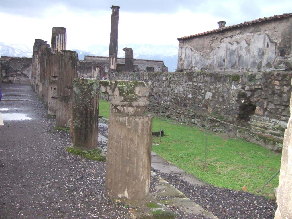 VII.7.32 Pompeii. December 2005. Looking south along east side of colonnade, podium and cella. 