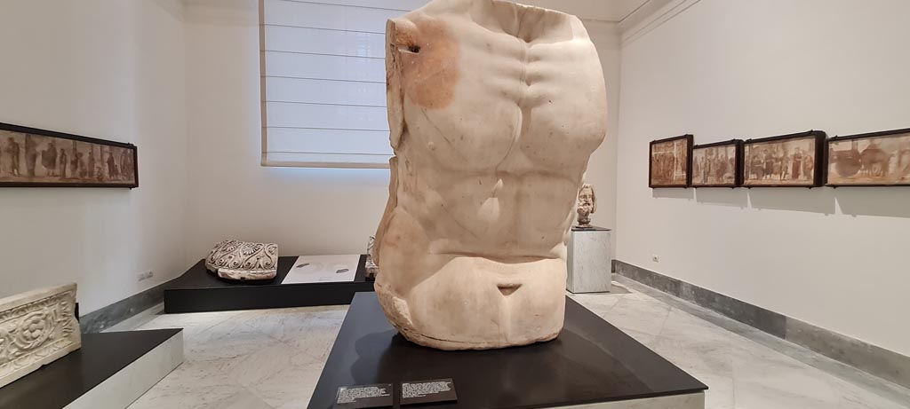 VII.8.1 Pompeii. April 2023. Block of white marble reworked to create the torso of a colossal statue.
On display in “Campania Romana” gallery in Naples Archaeological Museum.  Photo courtesy of Giuseppe Ciaramella.
