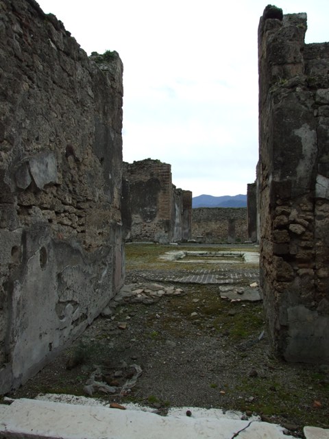 VII.9.47 Pompeii.  December 2005.  Room 1. Atrium. Impluvium.
