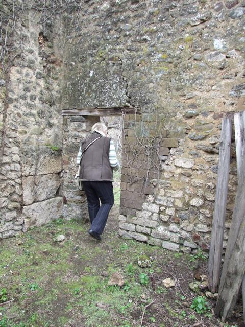 VII.11.14 Pompeii.  March 2009.  Garden “C”, North east corner.