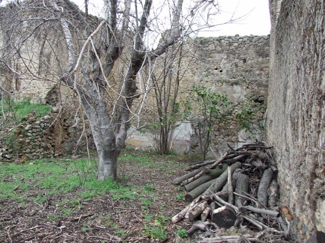 VII.11.14 Pompeii.  March 2009. Garden “C”, North wall, with remains of two of the three garden rooms.