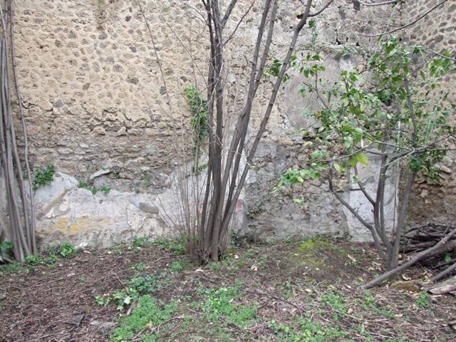 VII.11.14 Pompeii.  March 2009. Garden “C”, West wall.