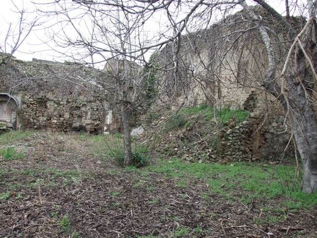 VII.11.14 Pompeii.  March 2009. Garden “C”, South wall.