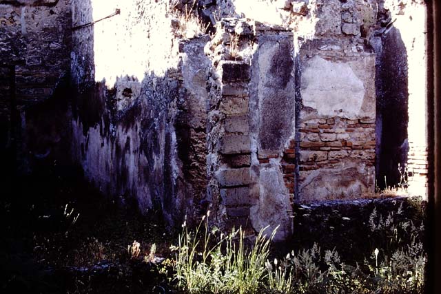 VII.11.14 Pompeii. March 2009. Garden “C”, Lower Niche.