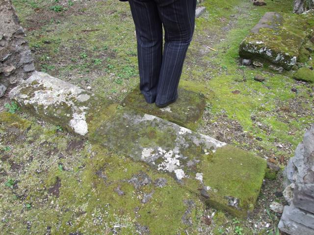 VII.11.14 Pompeii. March 2009. Step to entrance passageway in Room 1.