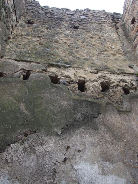 VII.11.14 Pompeii. March 2009. Room 9. West upper wall.