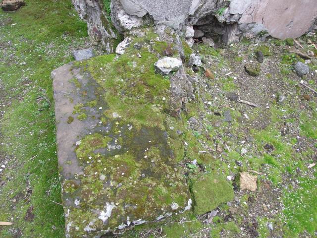 VII.11.14 Pompeii.  March 2009.  Garden “B”. South wall of small room.

