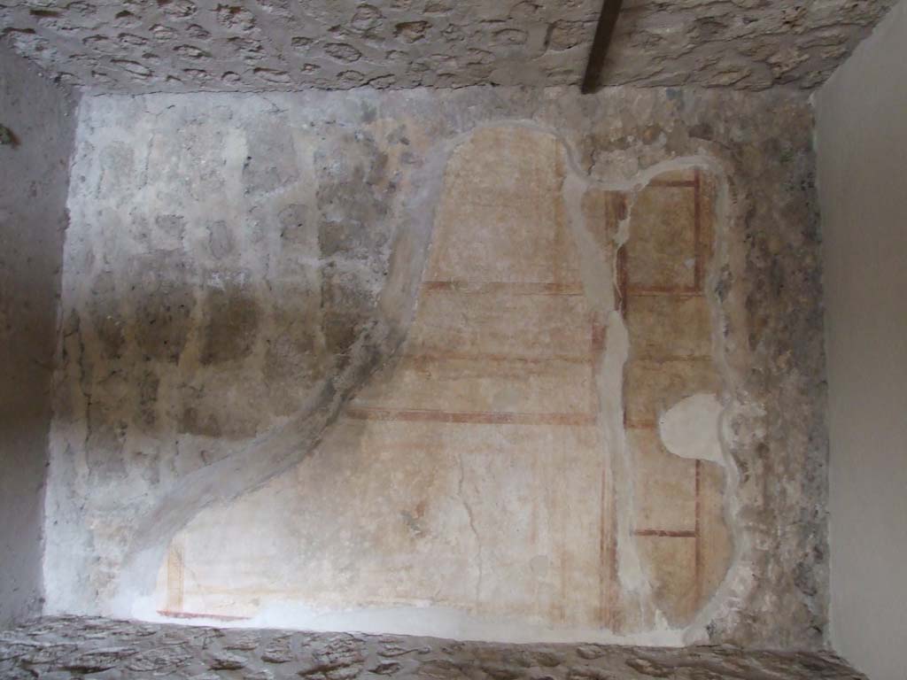 VII.12.20 Pompeii. March 2009. Wall of outer corridor, with painted plaster.