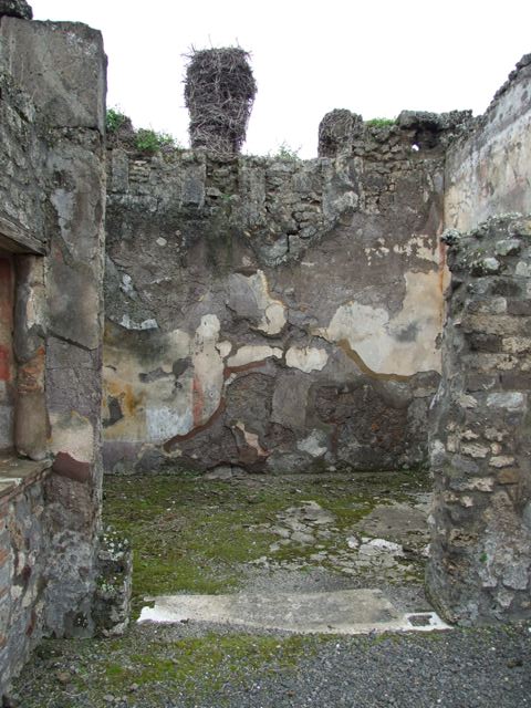 VII.14.5 Pompeii. March 2009. Room 3. West wall.