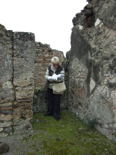 VII.14.5 Pompeii. March 2009. Room 11. Peristyle garden area. Looking east