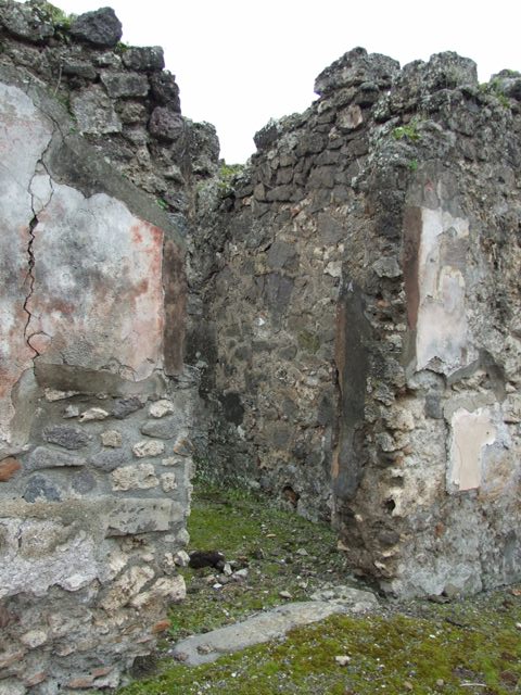 VII.14.5 Pompeii. March 2009. Room 12. South wall.