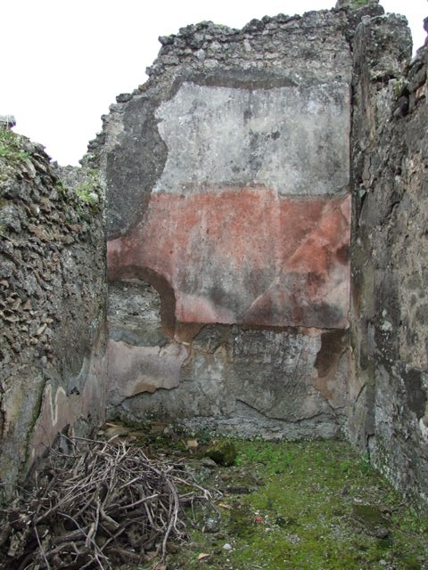 VII.14.5 Pompeii. March 2009. Room 13. East wall.