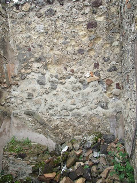 VII.14.5 Pompeii.  March 2009.  Room 20.  South west corner.
