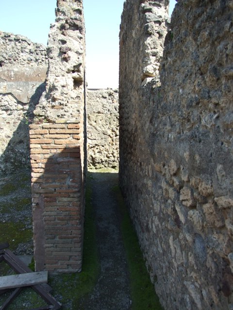 VII.14.9 Pompeii.  March 2009.  Room 17.  Oecus. Looking east.