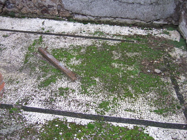 VII.16.15 Pompeii. December 2007. Room 11, middle cubiculum, remains of mosaic in south-east corner.