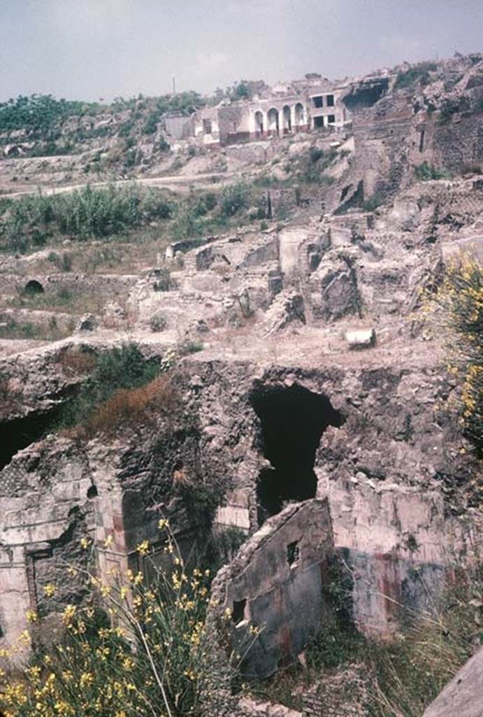 VII.16.a, Pompeii. August 1965. Looking north-east across the Suburban Baths, above the area of Courtyard C. At the top, the rear of Insula Occidentalis can be seen, and in the centre top, is the House of Fabius Rufus. Photo courtesy of Rick Bauer.
