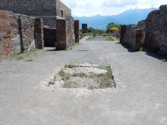 VIII.2.3 Pompeii. December 2005. Looking south across peristyle garden.
According to Jashemski, this peristyle garden, was enclosed on four sides by a portico supported by fourteen columns.  Off the north-west corner of the peristyle was a small room which Mazois and Fiorelli call a sacrarium. 
At the rear, there was a terrace. See Jashemski, W. F., 1993. The Gardens of Pompeii, Volume II: Appendices. New York: Caratzas. (p.205)
