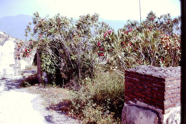 VIII.2.20 Pompeii. May 2006. Rear of Sarno Baths.