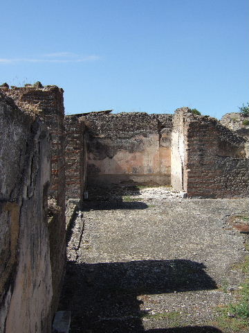 VIII.2.29 and VIII.2.30
