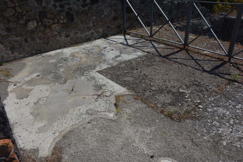VIII.2.34 Pompeii. September 2019. Room ‘n’, decorated white mosaic floor in oecus/triclinium, looking south-east.
Foto Annette Haug, ERC Grant 681269 DÉCOR.
