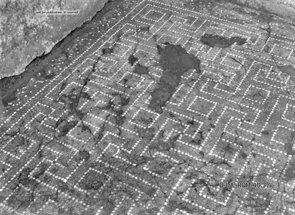 VIII.2.39 Pompeii. c.1930. According to Pernice, this photograph of the flooring is from Cubiculum “f”.
According to PPM, the photograph is from Cubiculum l (L).
Flooring in cocciopesto, in the border are flakes of tesserae, in the “carpet” is a net of meanders and squares with a central black dot.
DAIR 40.376. Photo © Deutsches Archäologisches Institut, Abteilung Rom, Arkiv.
See Pernice, E.  1938. Pavimente und Figürliche Mosaiken: Die Hellenistische Kunst in Pompeji, Band VI. Berlin: de Gruyter, (taf. 12.3)
(This certainly would seem to agree with the floor decoration and damage in the south-west corner of room l (L), so must agree that PPM is correct and Pernice erred. PPM also describe the flooring in cubiculum “f” as seen in the photo above this one, taken by Annette Haug. 
Thanks to Annette Haug for spotting the differences, and the identification.)


