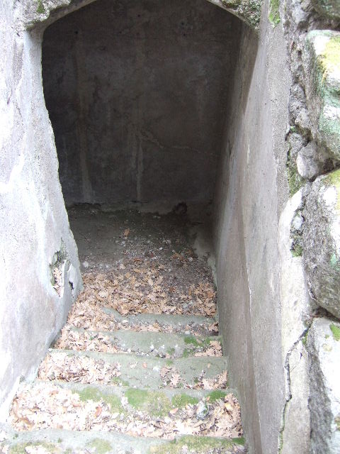 VIII.2.39 Pompeii. May 2006. First lower floor.