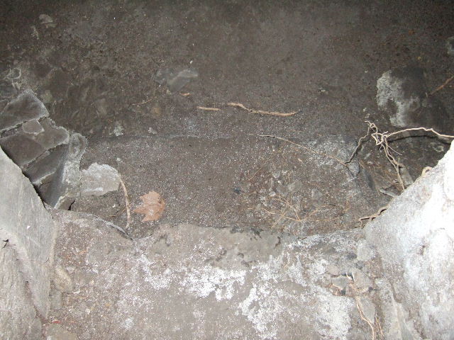 VIII.2.39 Pompeii. May 2006. Looking up at ceiling in Room 08.
