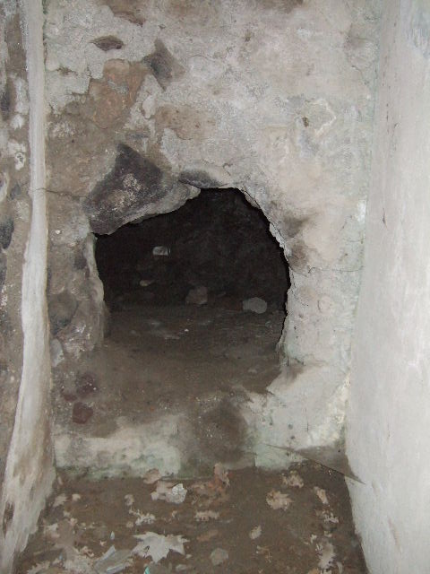 VIII.2.37 and VIII.2.39 Pompeii. May 2006. Pictured from rear.